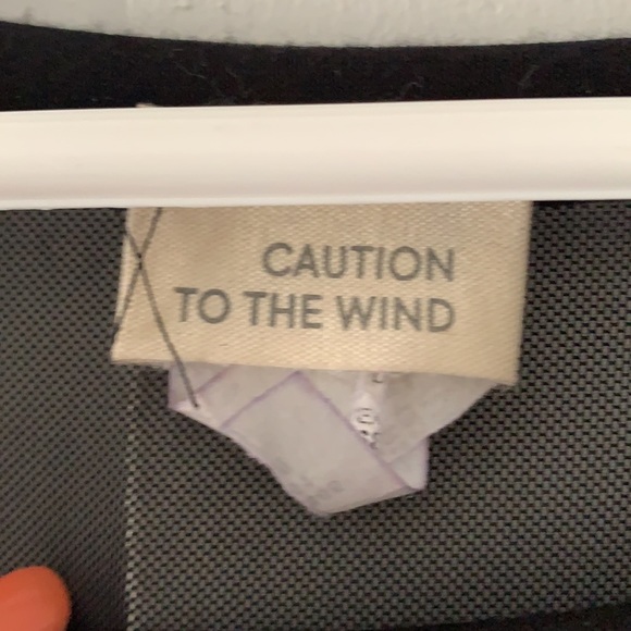 2 for 1 mesh dress and mini dress! - Picture 2 of 7